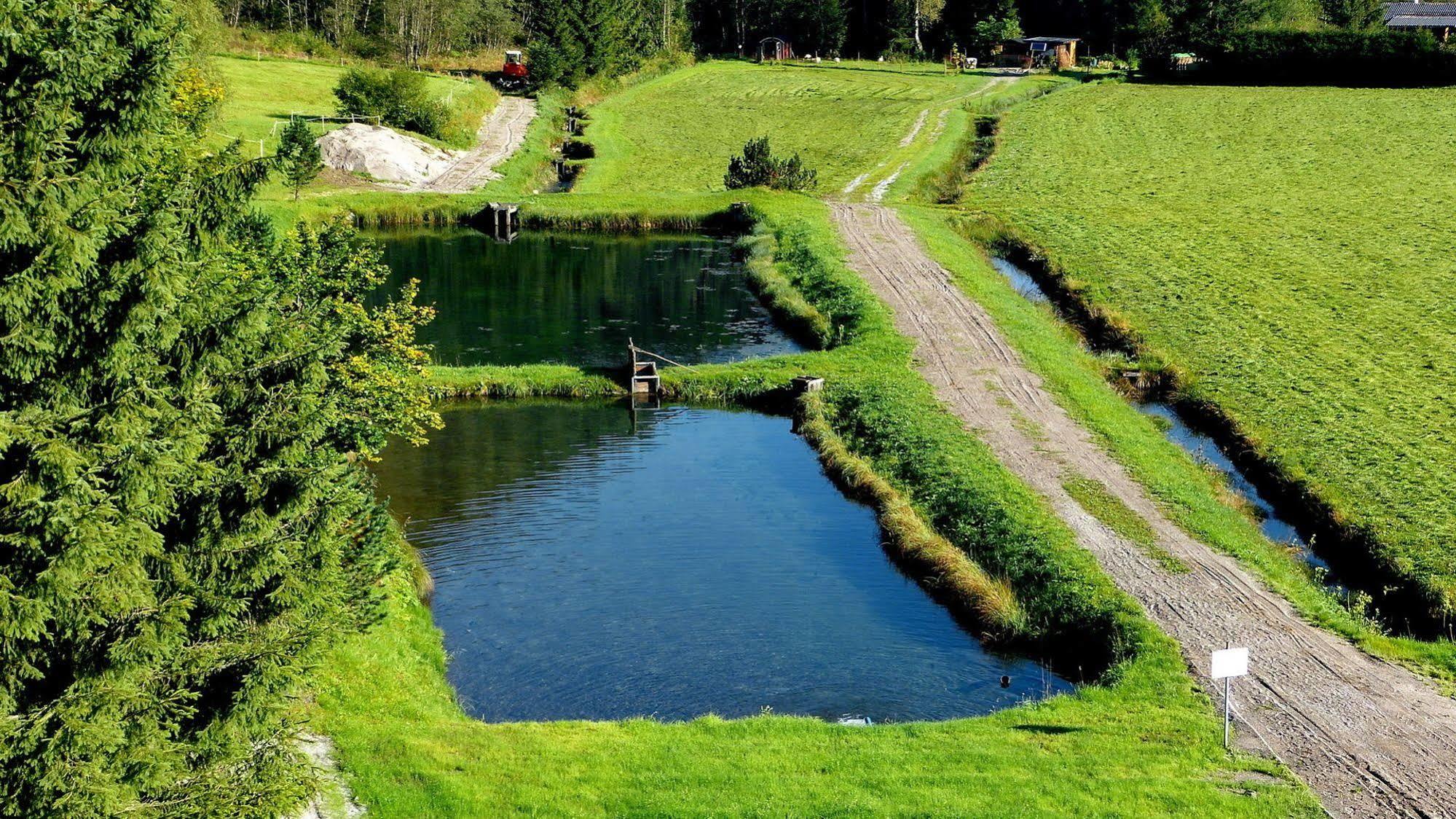 Gasthof Zur Gams Donnersbachwald Exterior foto